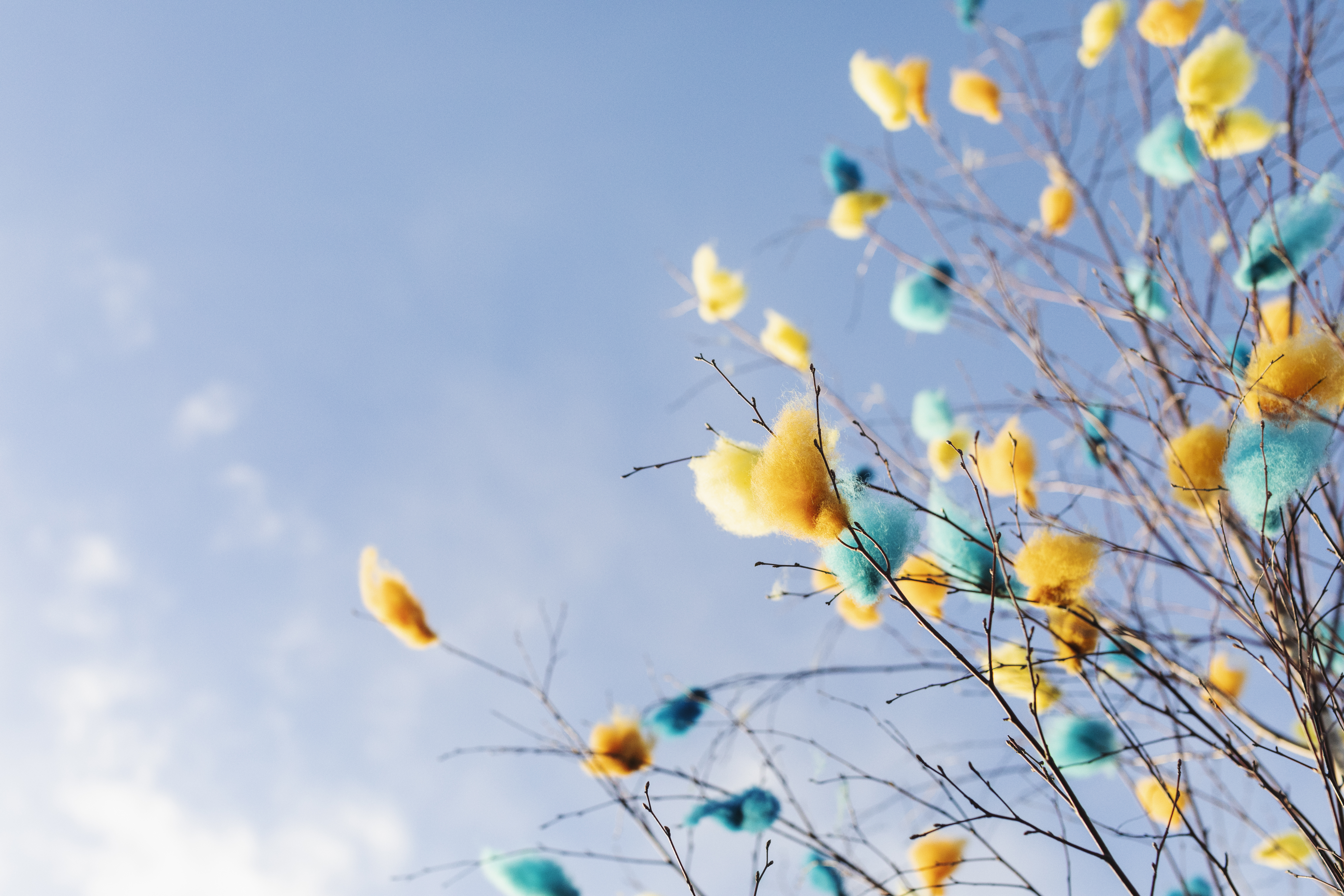 Påskris med fjädrar i turkos, gult och orange.