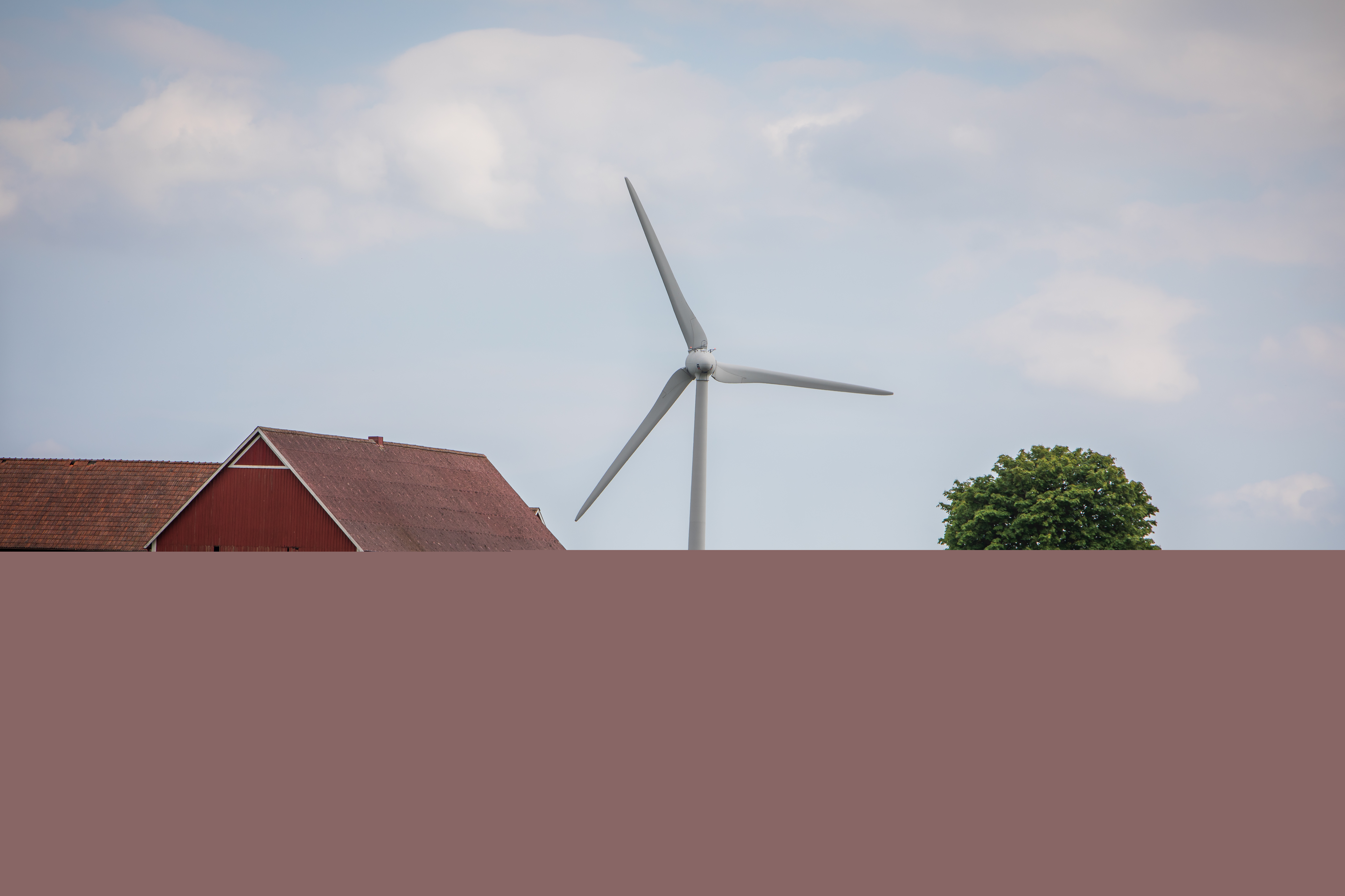 Ett sädesfält med några röda lador och ett ensamt träd. Längre bort syns ett vindkraftverk.