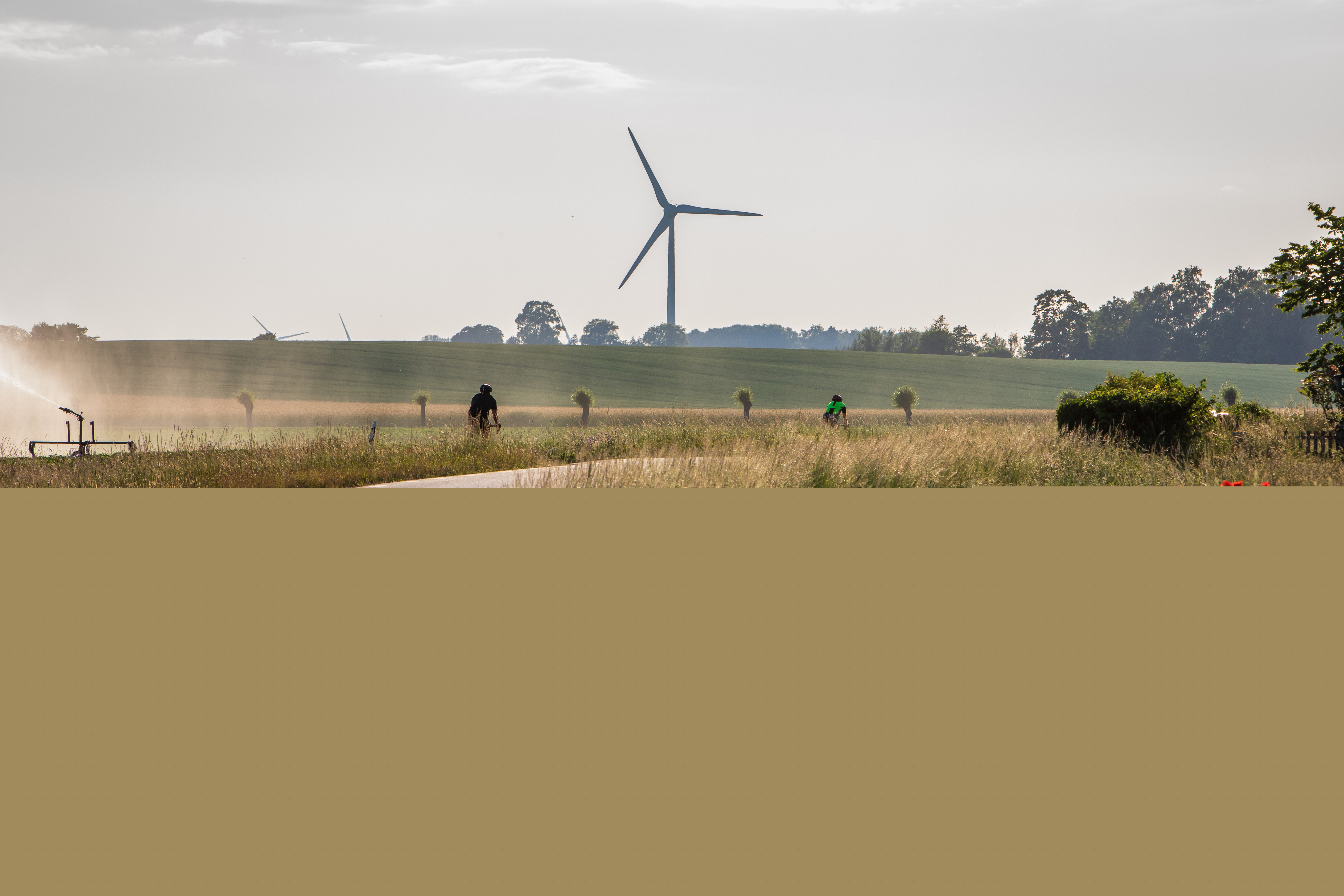 Ett åkerlandskap med en cyklist. Längre bort syns ett vindkraftverk.