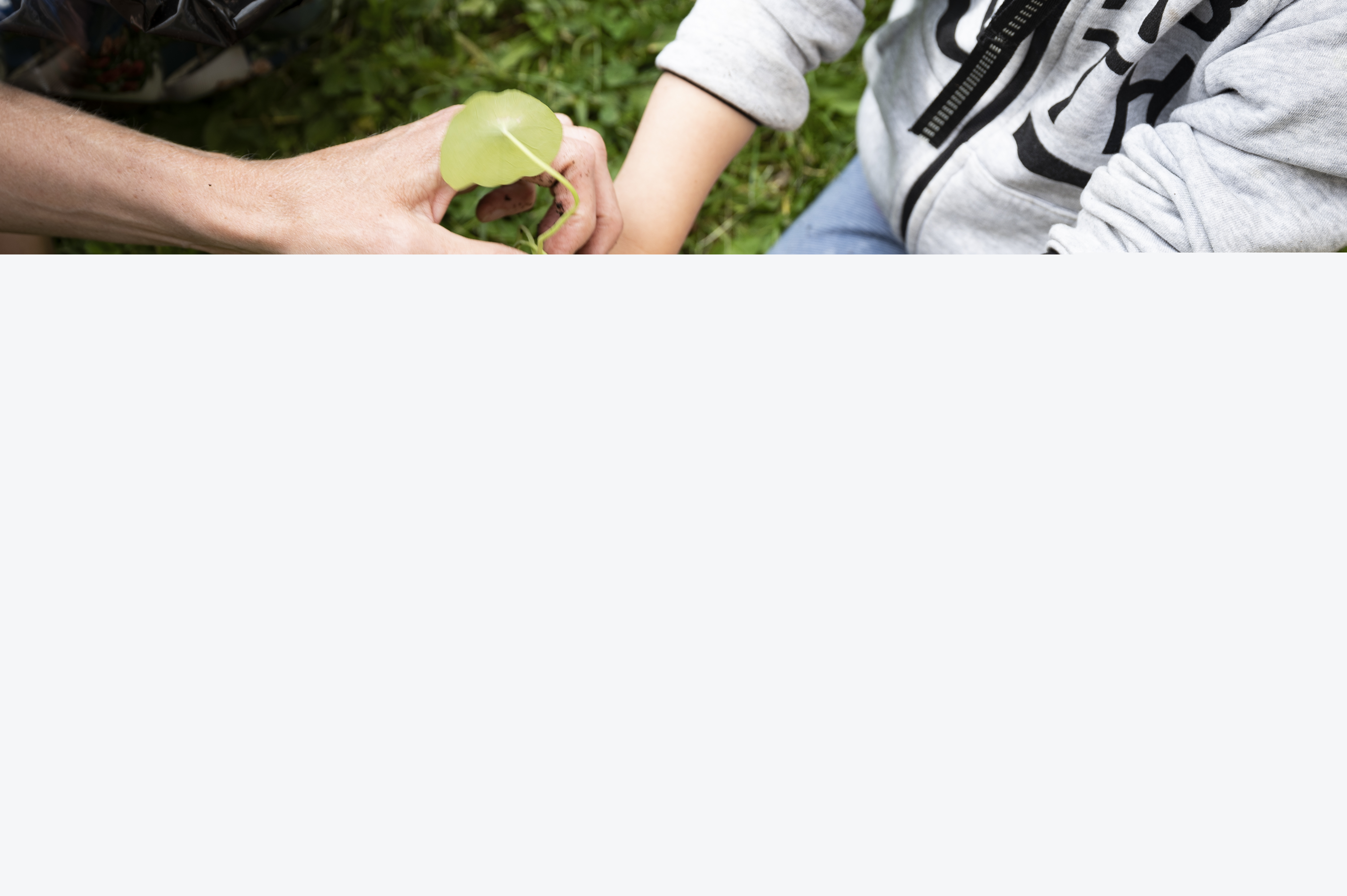 Ett litet barn planterar en krasse tillsammans med sin förälder.