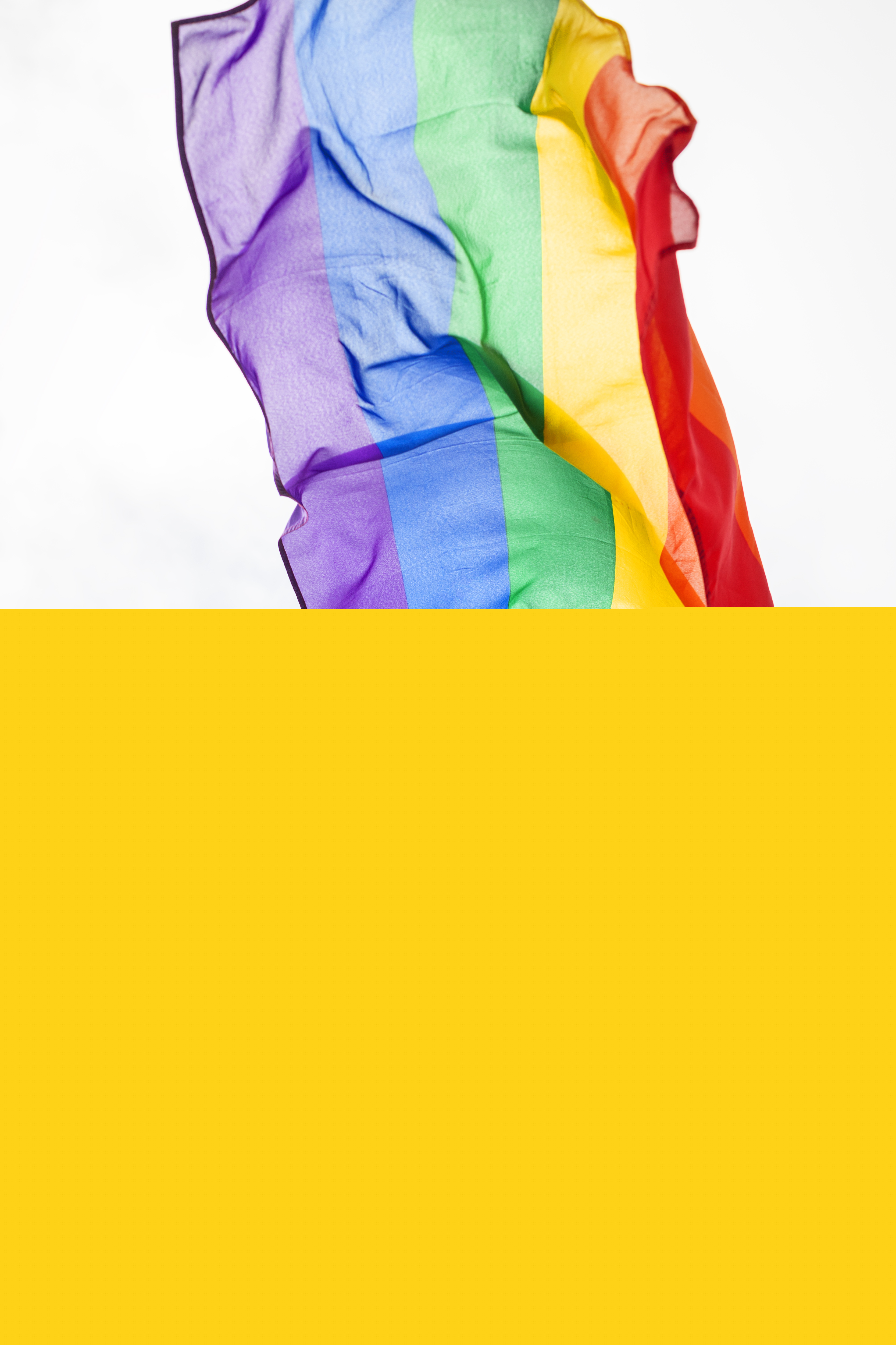 Två personer håller upp regnbågsflaggan mot himlen.