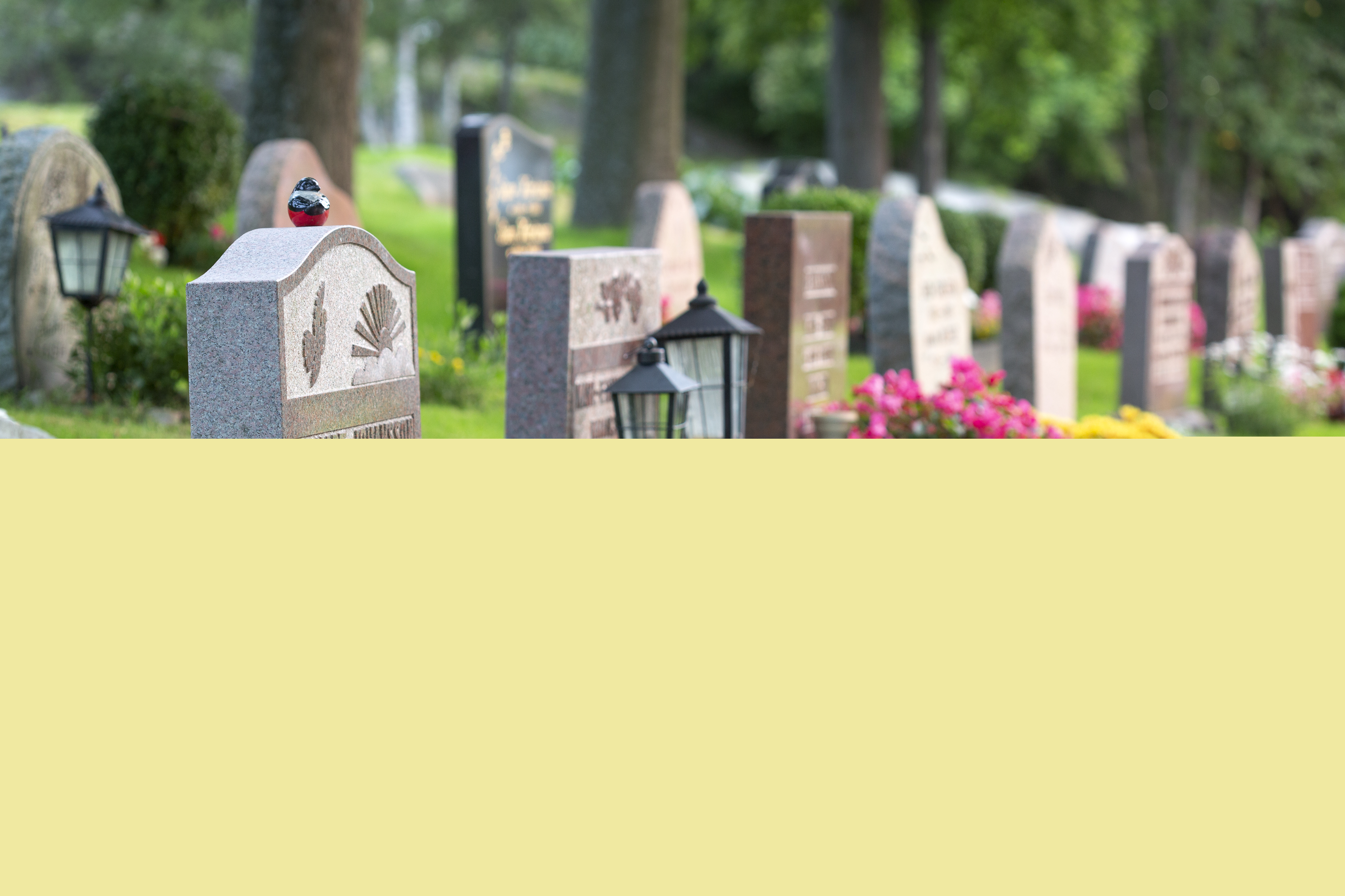 Gravar dekorerade med färggranna blommor på en kyrkogård.