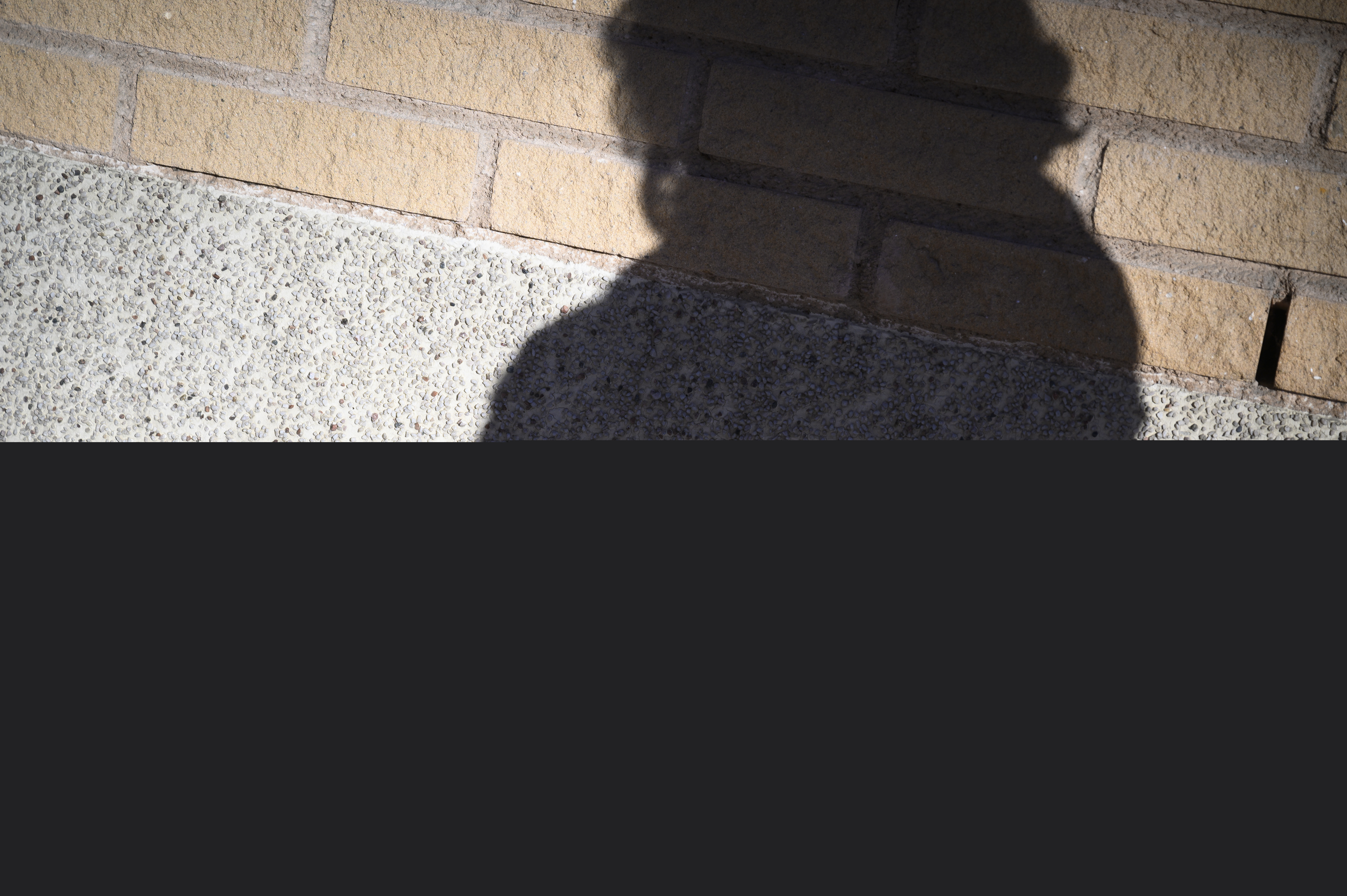 En skugga på en tegelvägg av någon som skriver på sin mobiltelefon.