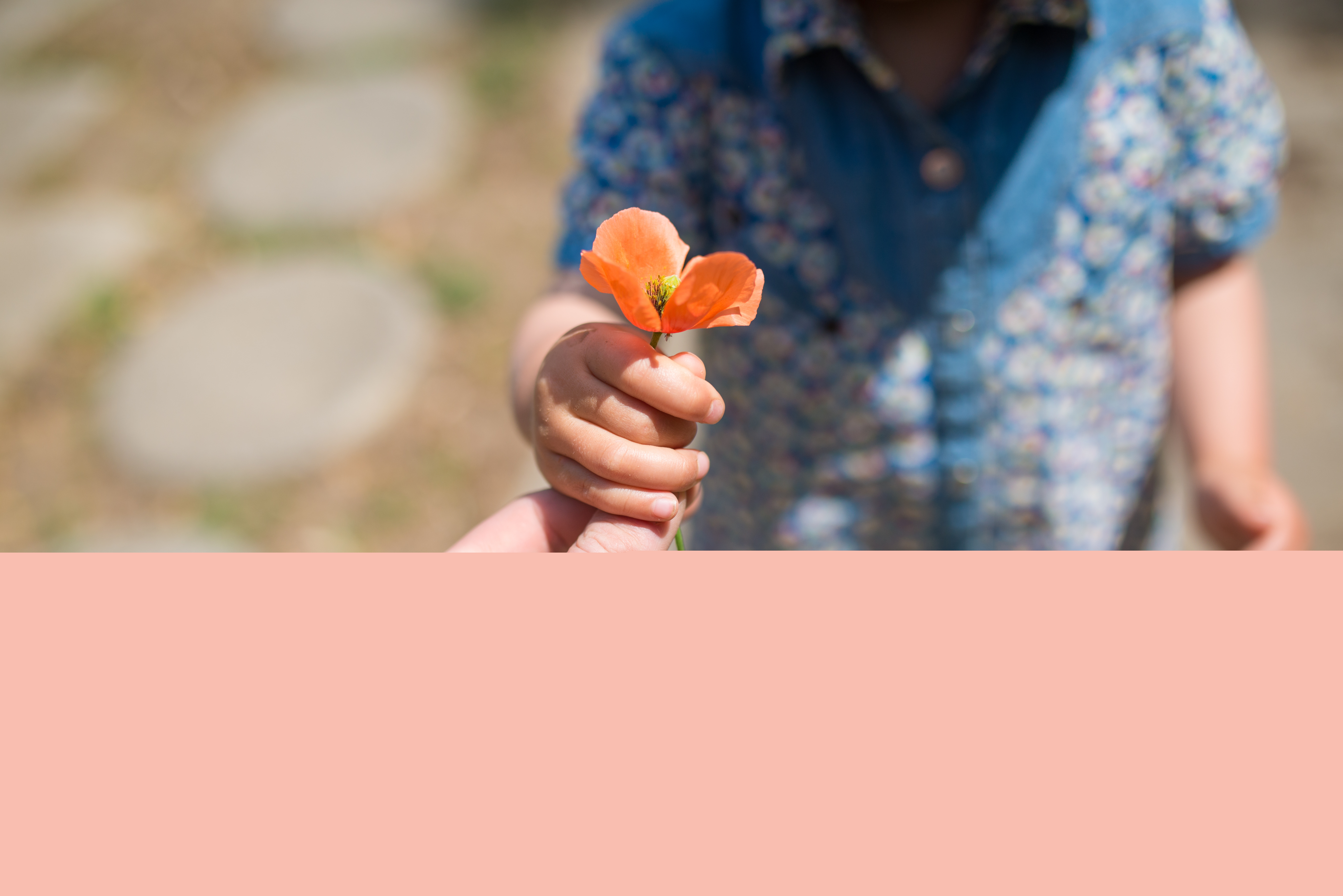 Ett litet barn räcker över en vallmo till en vuxen.