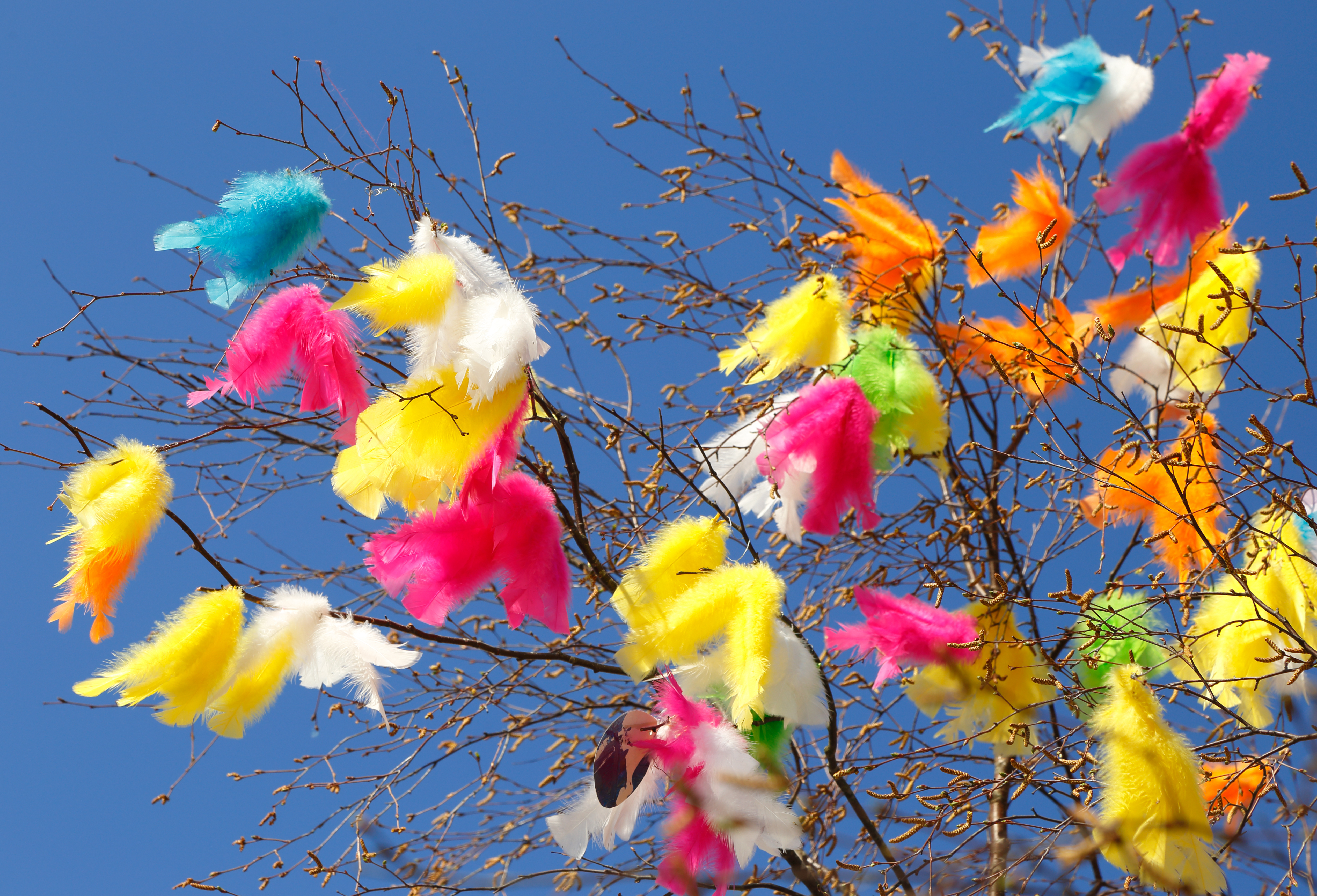 Ett påskris med färgglada fjädrar.