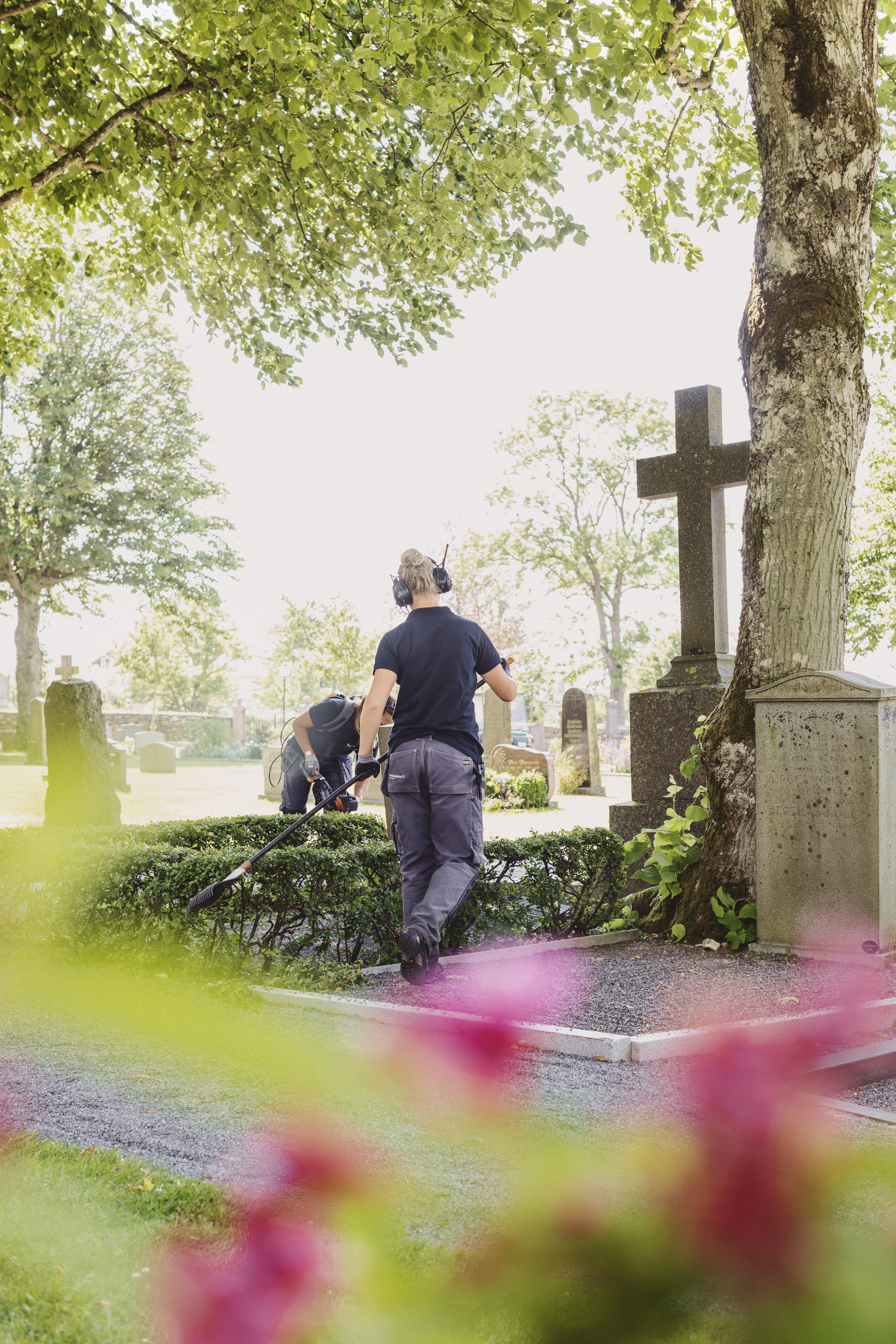 Två kyrkogårdsarbetare trimmar buskarna runt en grav.