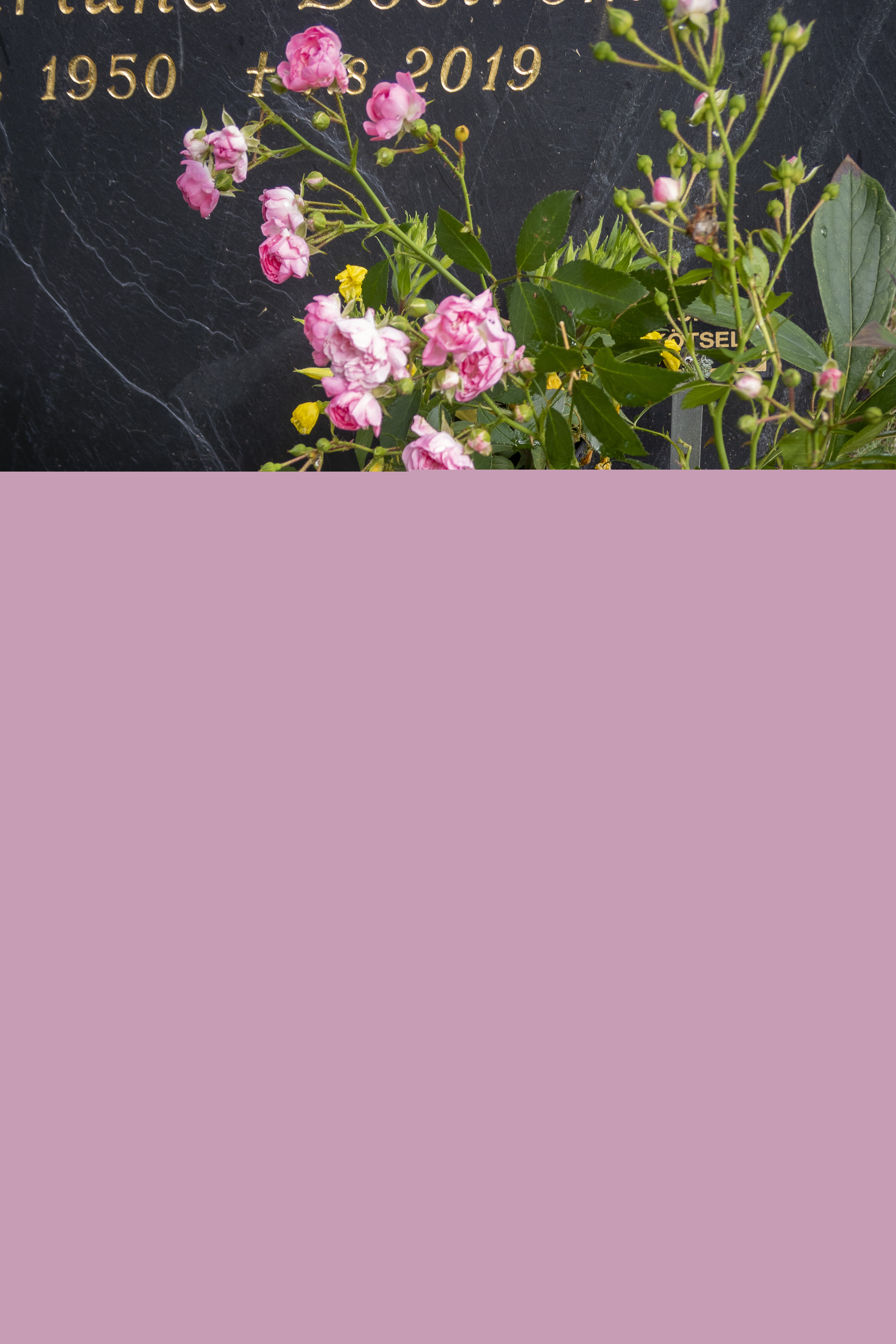 Blommor och ett ljusblått hjärta vid en gravsten.