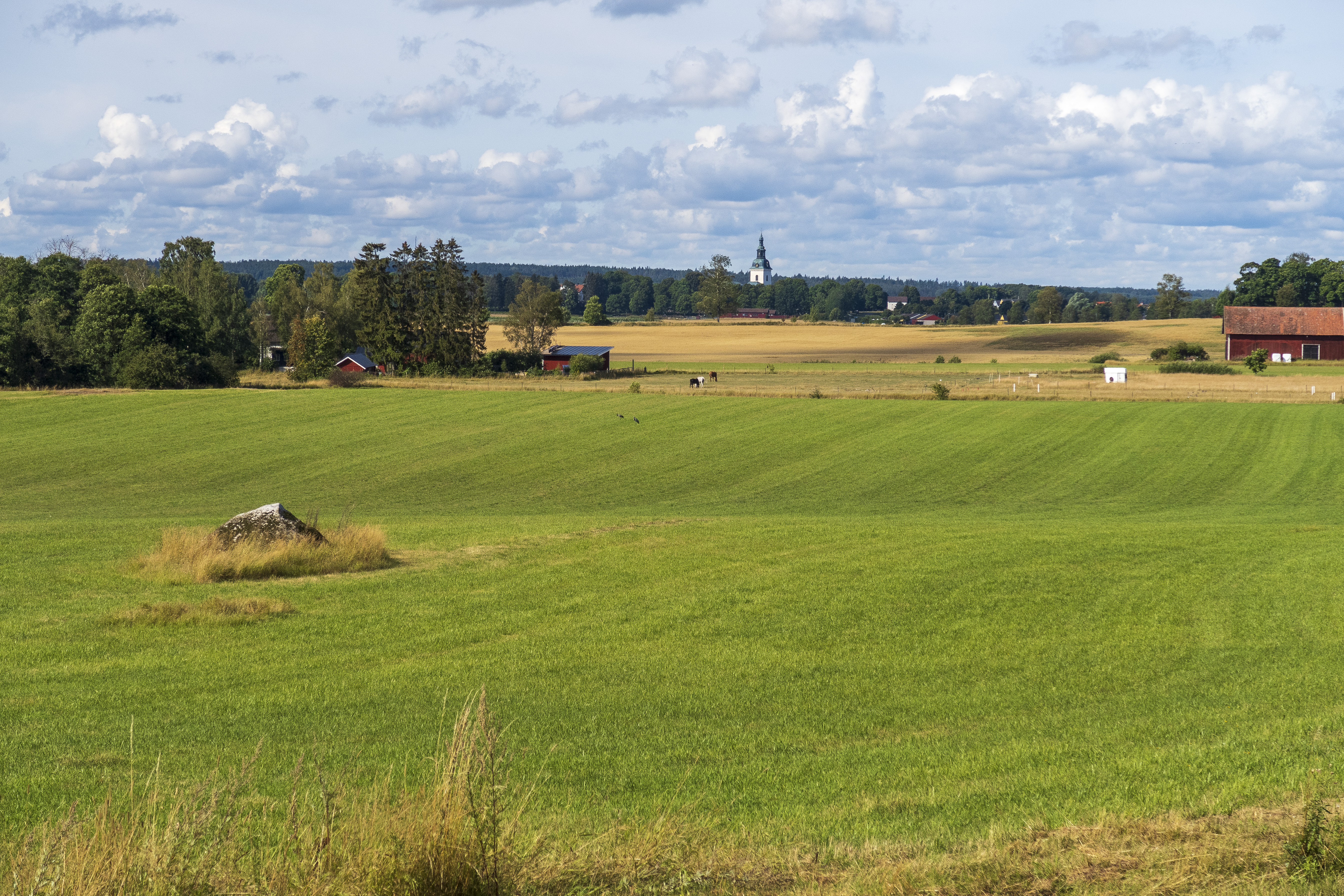 En åker under blå molnig himmel. En kyrka syns i bakgrunden.
