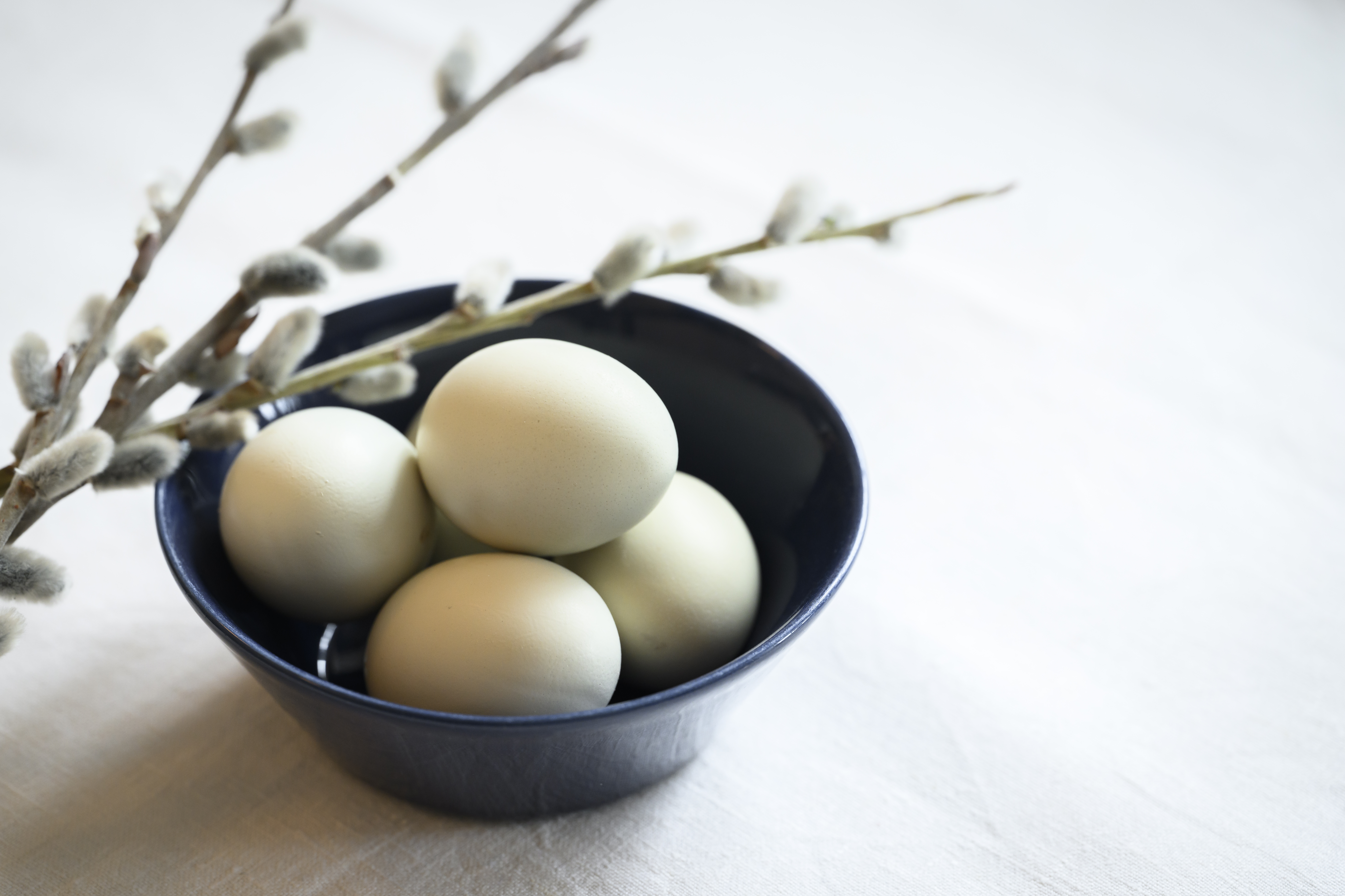 Några ägg i en blå porslinsskål, och en videkvist.