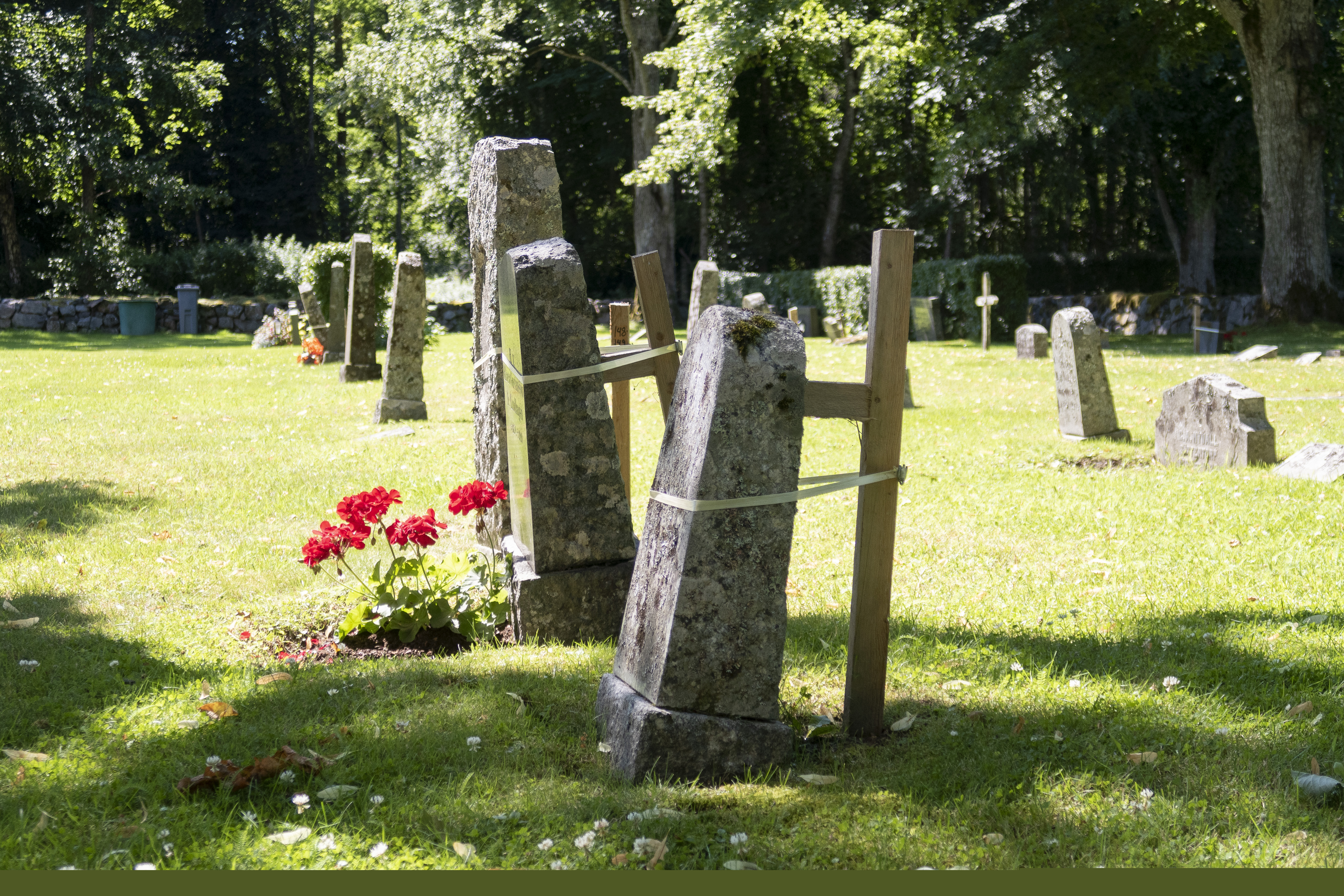 Några gamla gravstenar på en kyrkogård hjälps upp av trästörar.