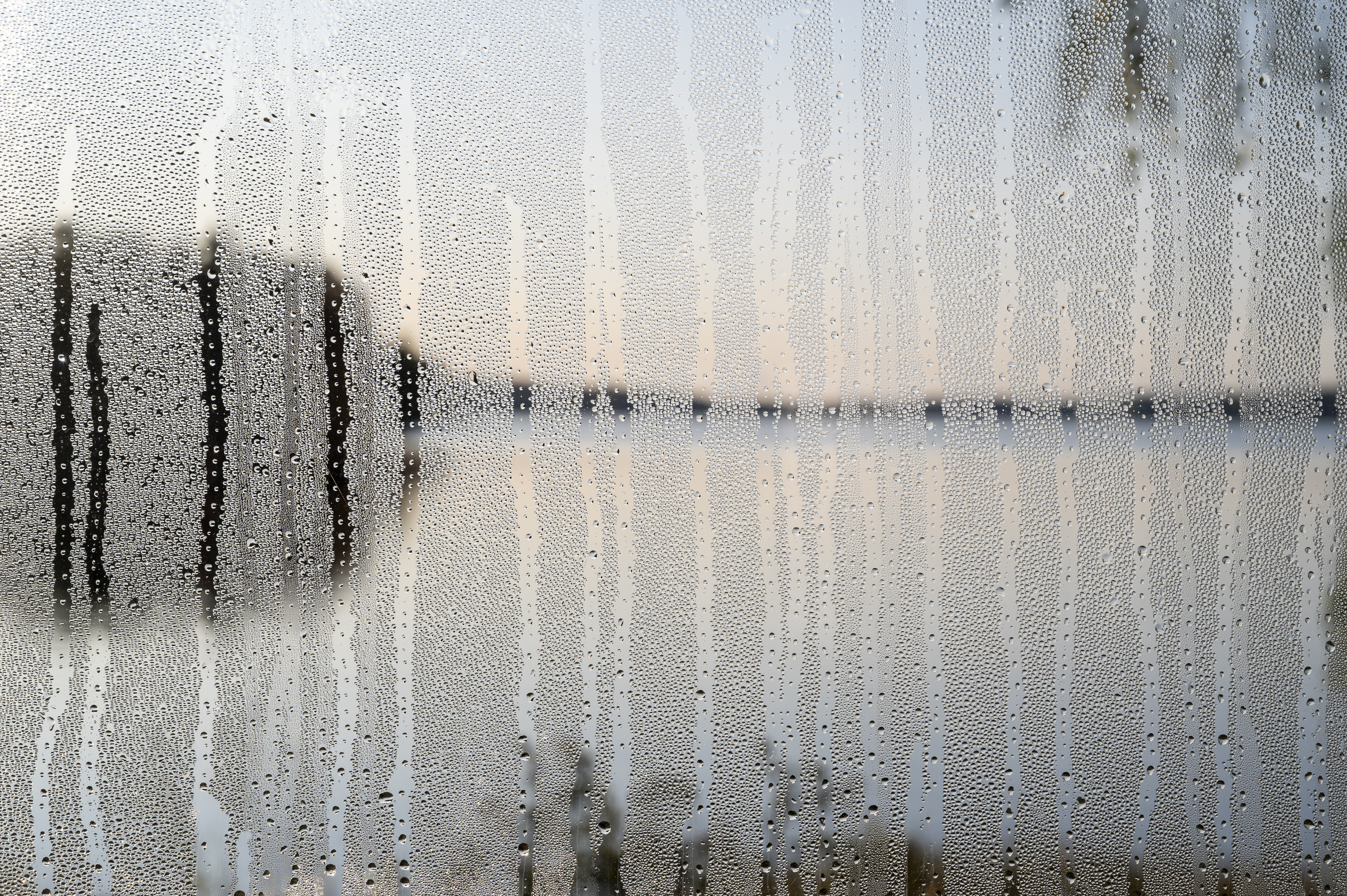 Imma på ett fönster och spår av droppar som runnit ner.
