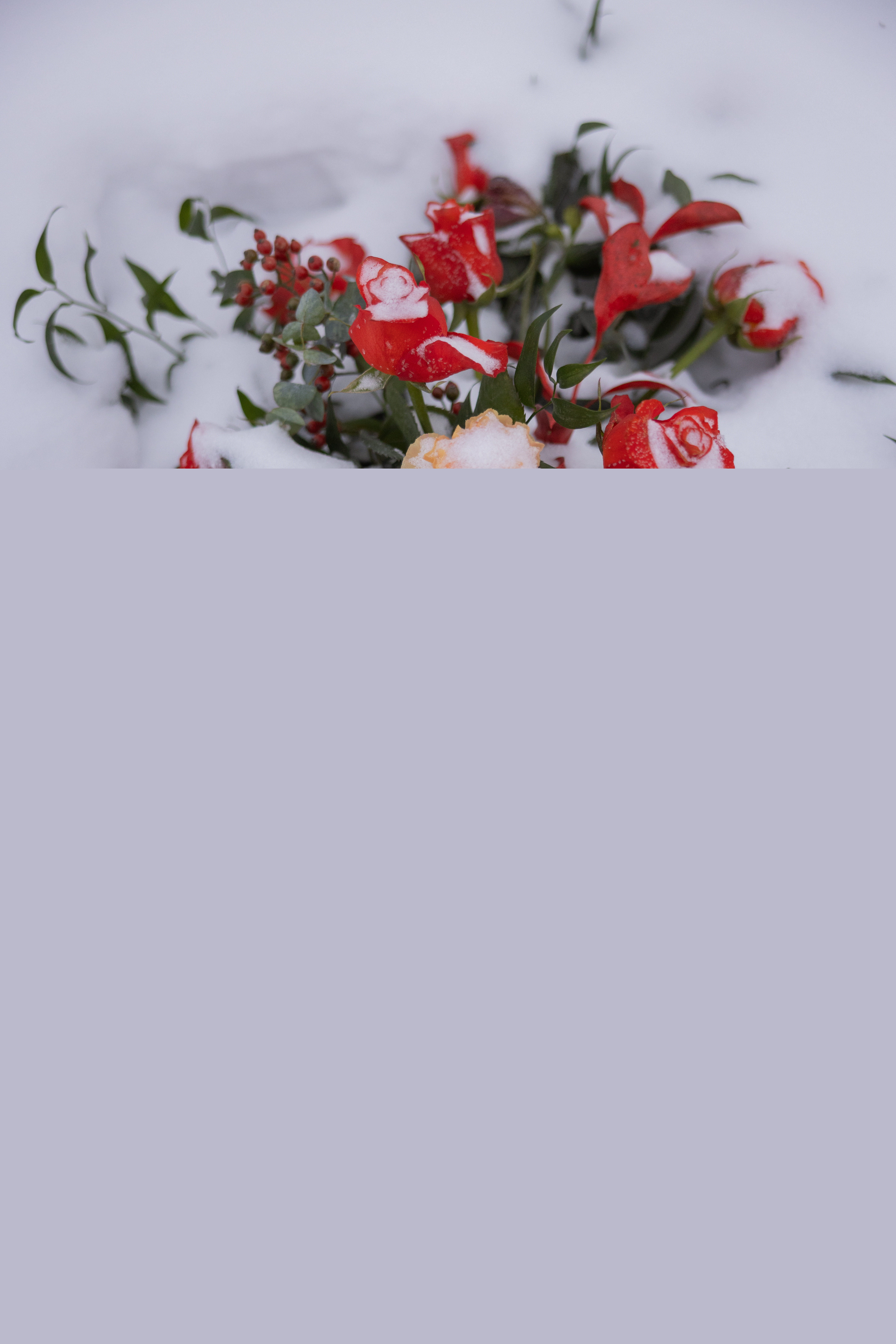 En begravningskrans ligger under nyfallen snö.