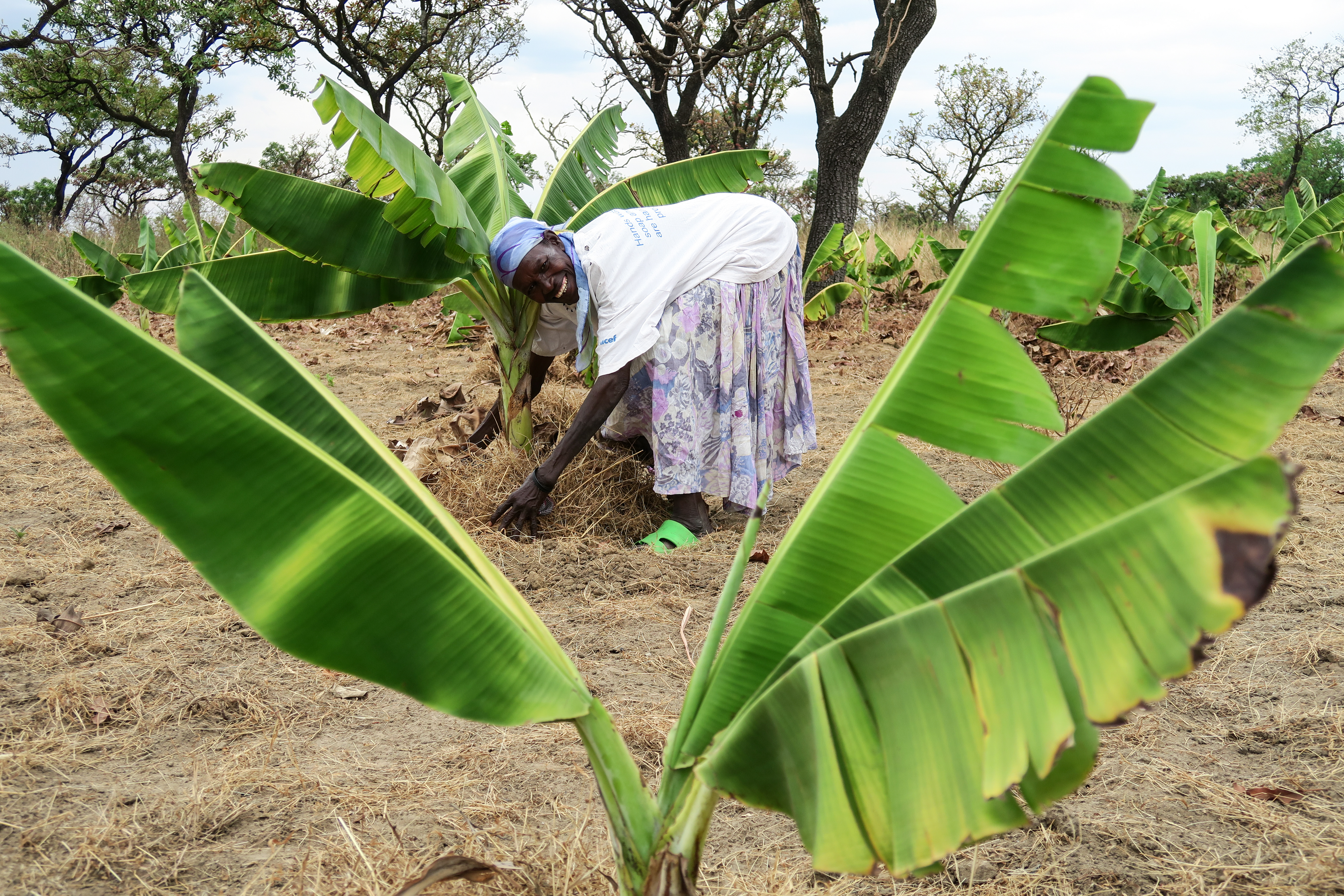 Kvinna i i Uanga står böjd över en planta.