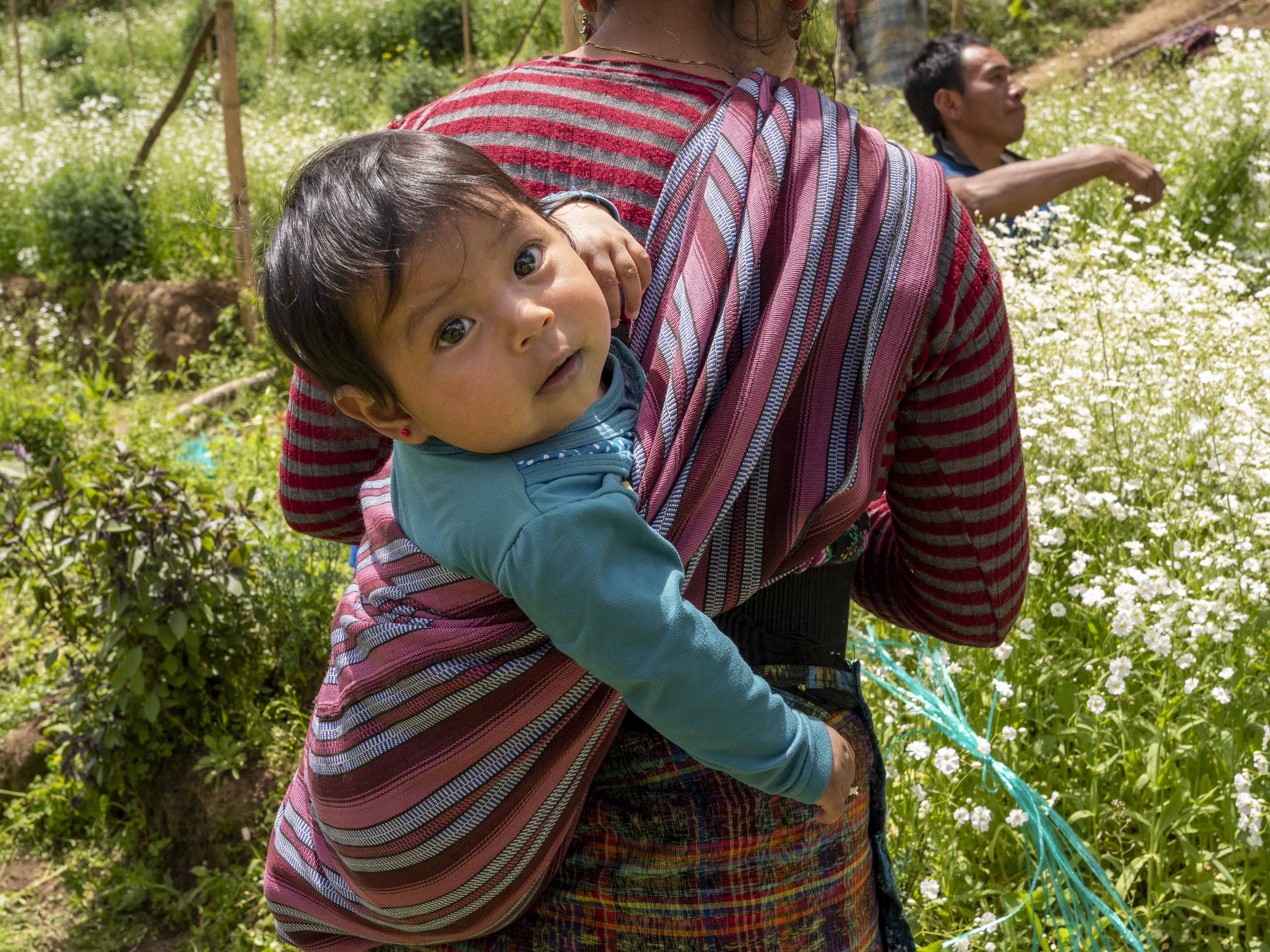 Kvinna bär sitt barn på ryggen.