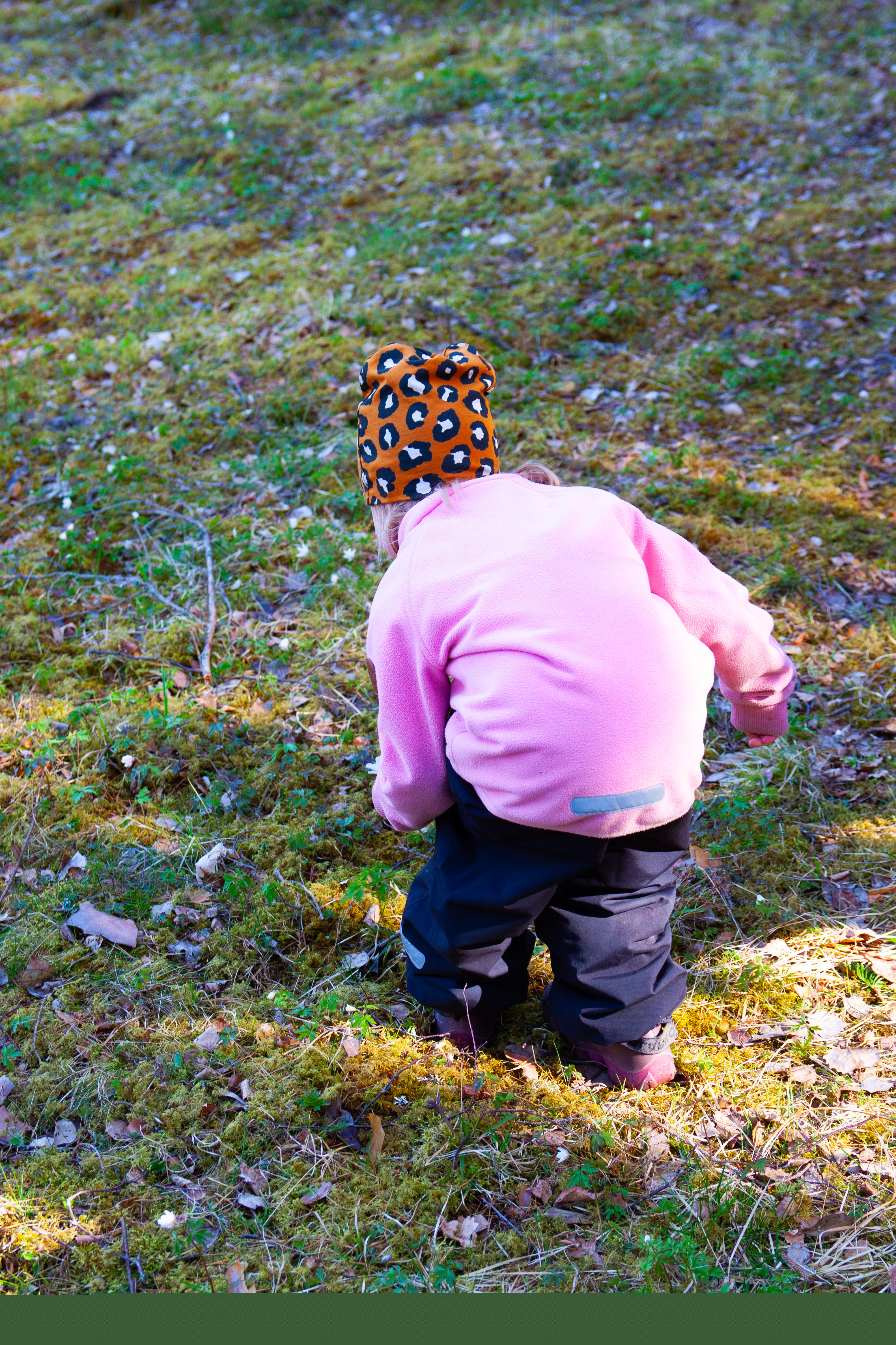Ett barn plockar blommor i en skog.